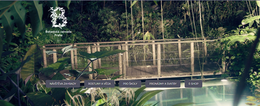 Snimek obrazovky 2022-01-07 155234